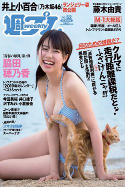 猫女的诅咒